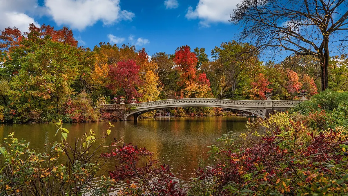 Bow Bridge and the Lake in Central Park